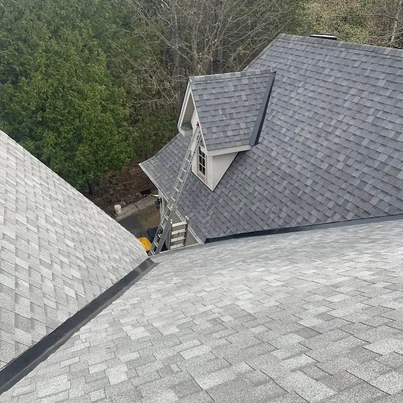 Grey shingled roof with a dormer window and a valley, wooded yard below